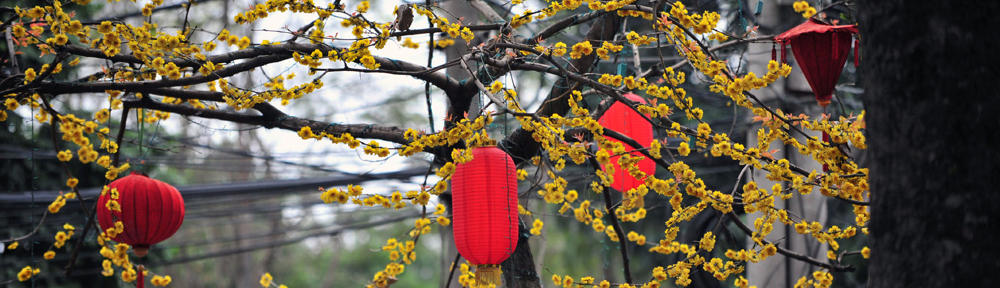 Ninja monkeys in the bush